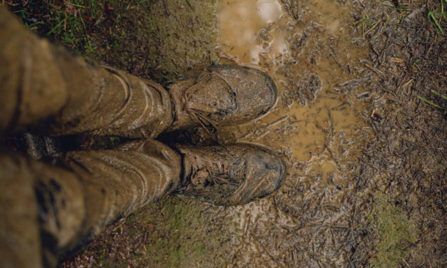 Under the Weather: Jake Hood Battles Nydia Bay