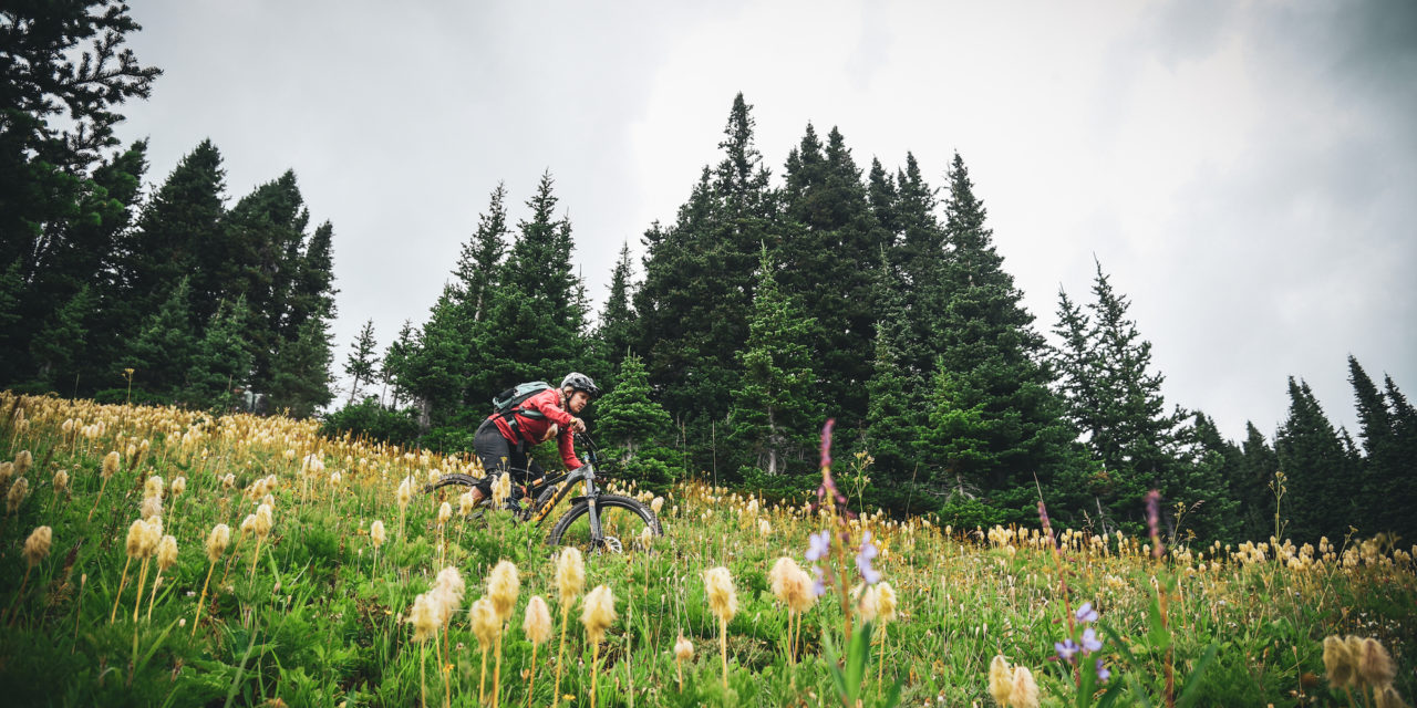 Who brought The Pump?