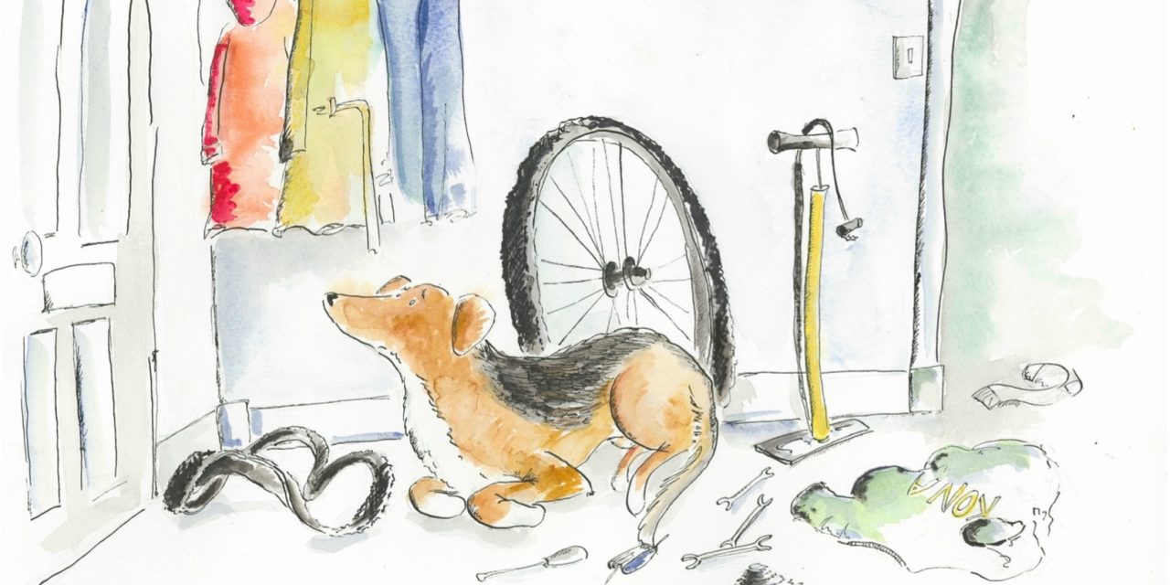 A Biker’s Best Friend-Awaiting Your Return