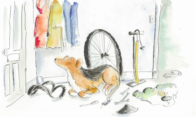A Biker’s Best Friend-Awaiting Your Return