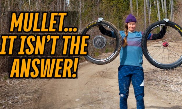 275 Miranda vs 29 Miranda