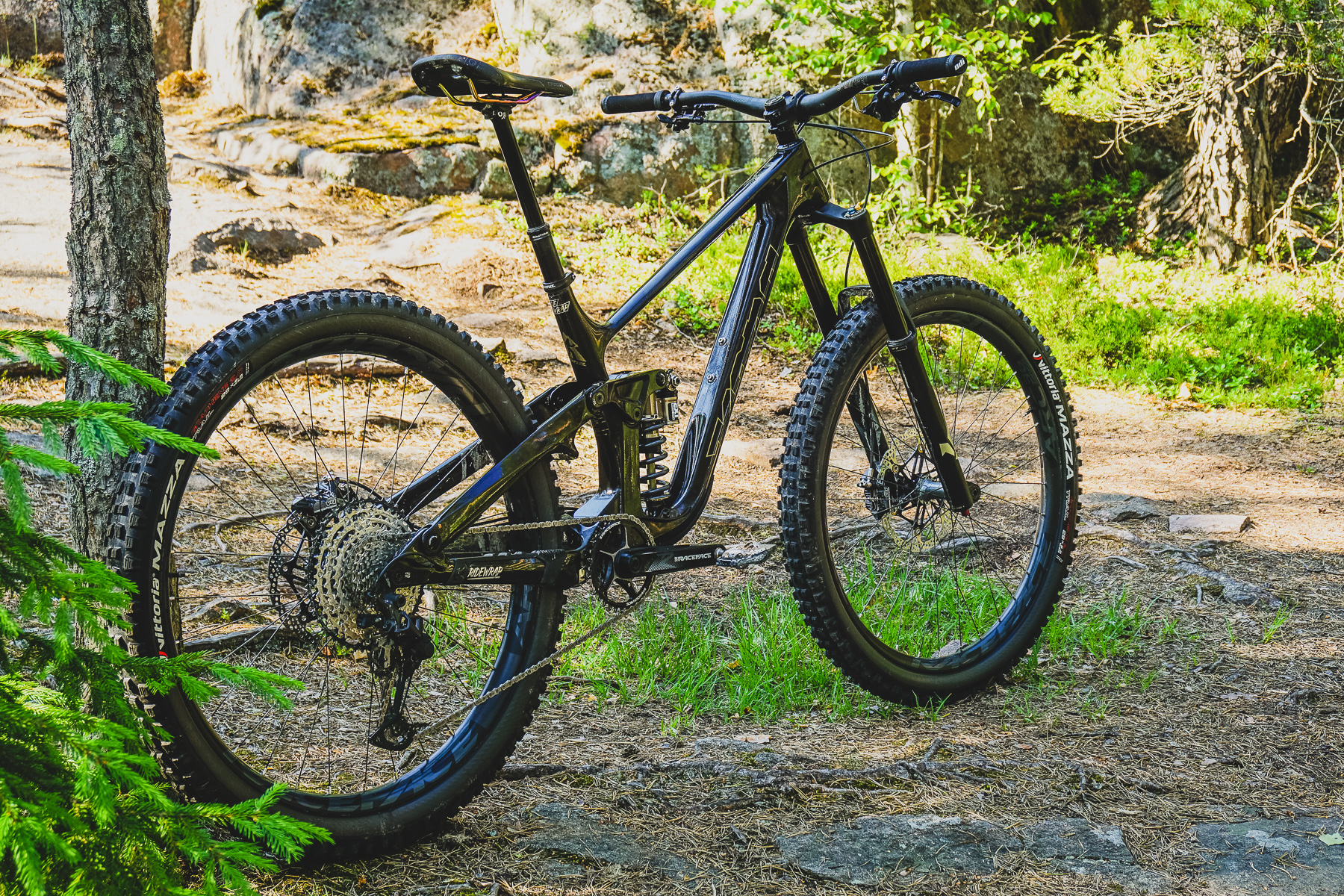 whole_picture_angled_rear