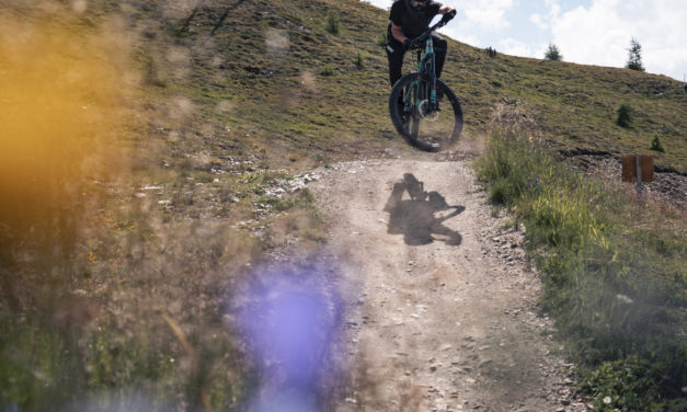 Can EBikes Be Fun in The Bike Park?