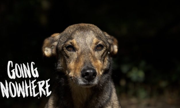 Going Nowhere With Luna