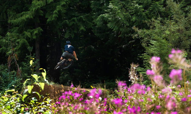 Jumping Into Fall