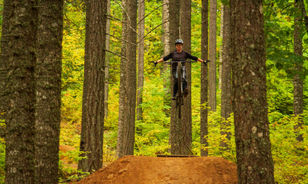 Firing Into Fall