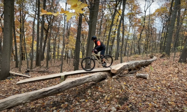 Long LIve The Teeter Totter!