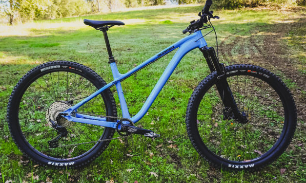 NSMB Publishes Honzo DL First Impressions