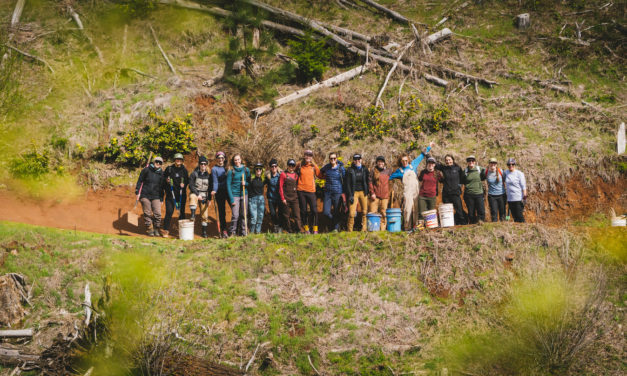 Sculpt-A Dig Day For Empowering Female Trail Builders