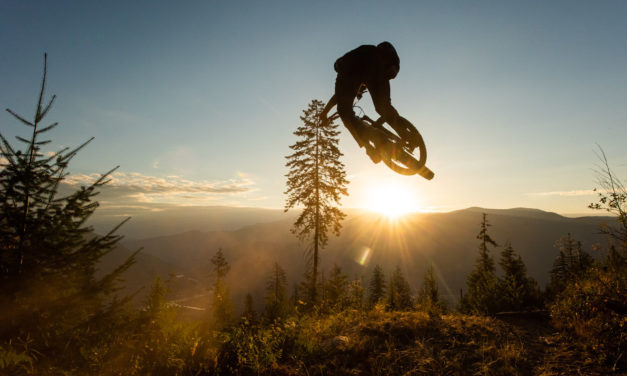 Biking And Art