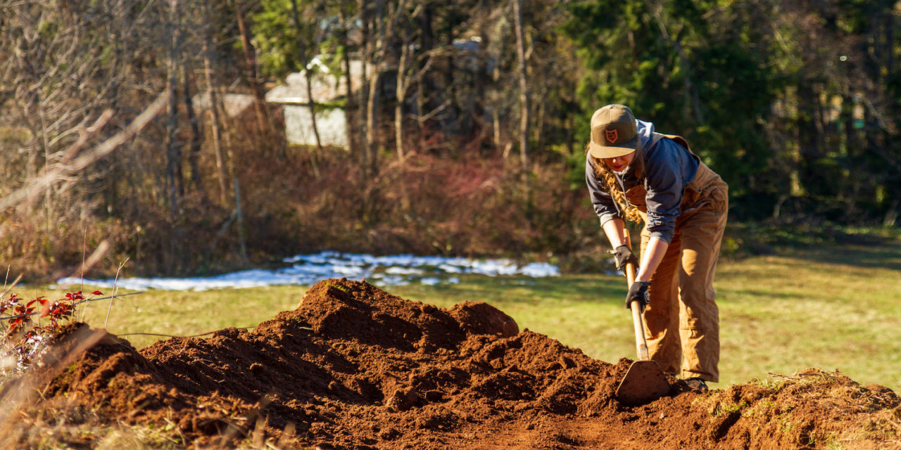 If You Build It, They Will Come￼