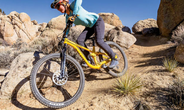 Mountain Flyer Reviews the Process 153 DL 29