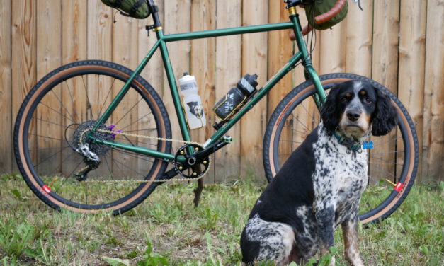 Kona Dream Builds: Everett’s Rove