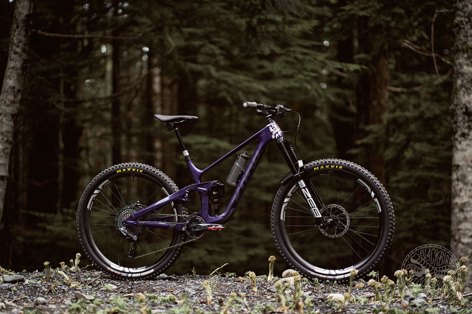 deniz-merdano-caleb-holonko-kona