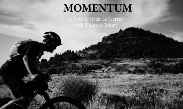 Momentum Teaser