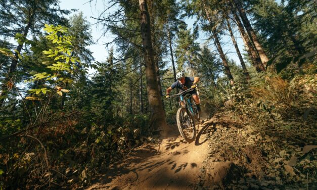 NSMB Reviews the Honzo DL “A well-thought-out bike that, for the money, lacks nothing”