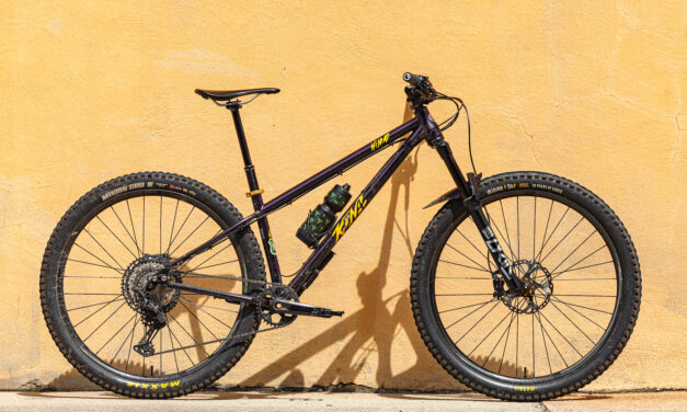 Hardtail Homecoming