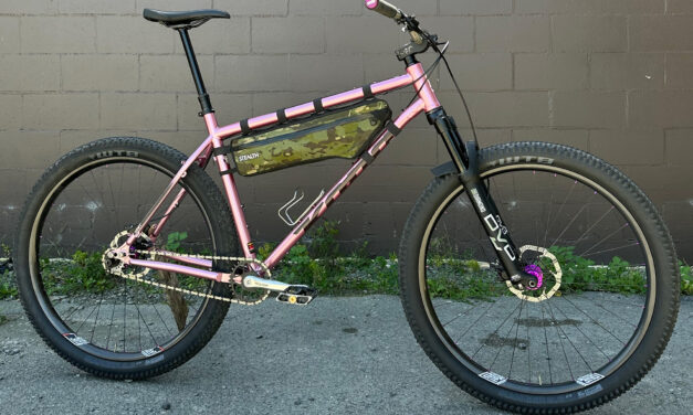 Kona Dream Builds: Diggle’s Pink Princess