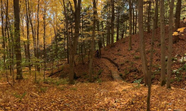 A Look Back at a Magnificent Autumn