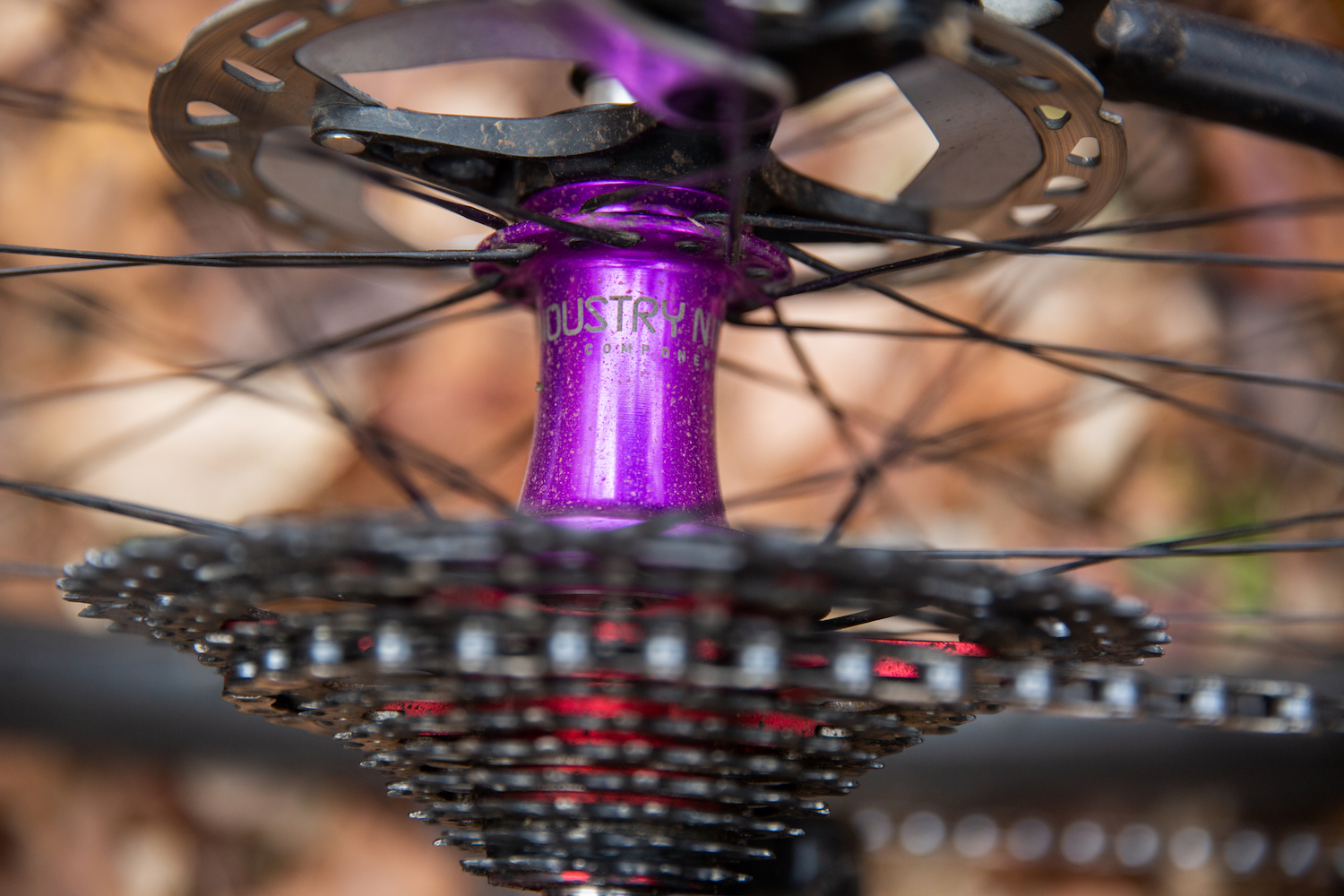 TVB_PORTRAIT_SASHA (9 of 32)