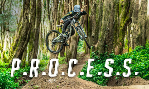 Marcelo Cordeiro Shreds His New Process 153 29 DL