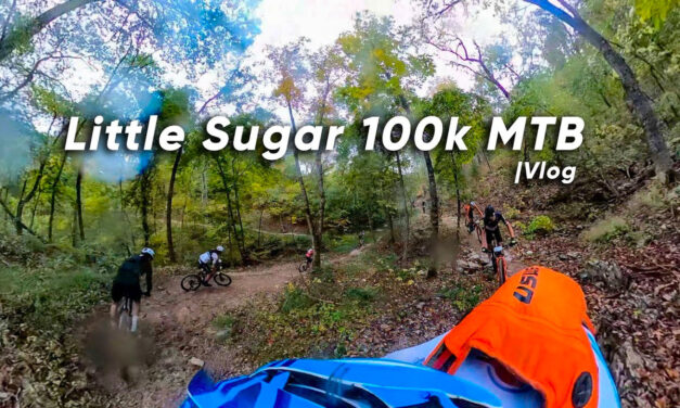 Kerry Werner’s Little Sugar VLOG is Live